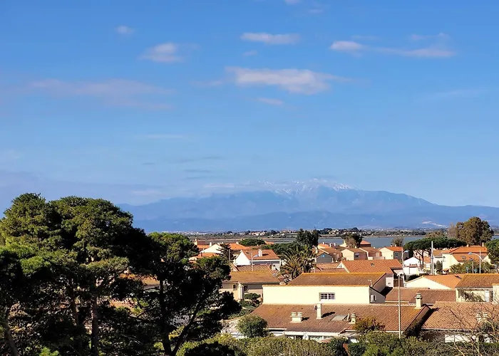 - T2 Lumineux Pour 4 Pers, Terrasse, Parking Prive, A 50m - Fr-1-794-114 Apartament Canet-en-Roussillon
